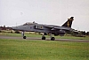 098_jaguar